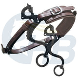 Dragon Style Leather Hackamore - Various Options