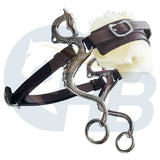 Dragon Style Leather Hackamore - Various Options