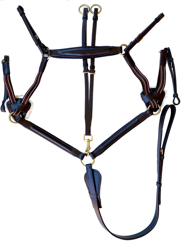 5 Point Breastplate including detachable martingale