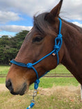 Braided Detail Rope Halter and Lead - Blue with Black