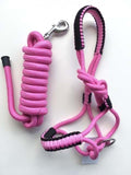 Braided Detail Rope Halter and Lead - Pink with Black