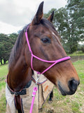 Braided Detail Rope Halter and Lead - Pink with Black