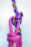 Braided Rope Halter with Lead - Various Colours