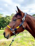 Hybrid Rope and Leather Halter - Various Colours